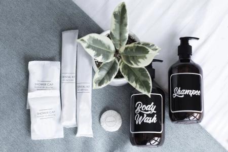 Nuve Elements (Sg Clean, Staycation Approved) - 40