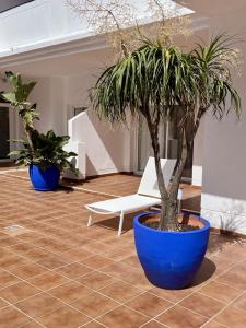 Vive Costa Azul - 31