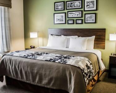 Sleep Inn & Suites -Eisenhower Boulevard - 15