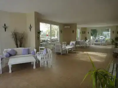 Club Muskebi - 5