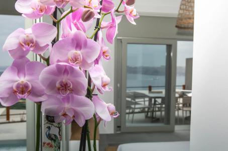 Melidonia Suites - 54
