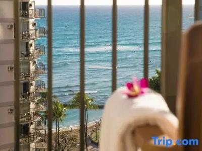 Waikiki Resort - 66