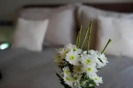 Venere b&b - 68