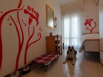 Kristalex Pet Family - 41