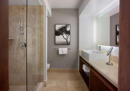 Hyatt Regency and Spa - 6