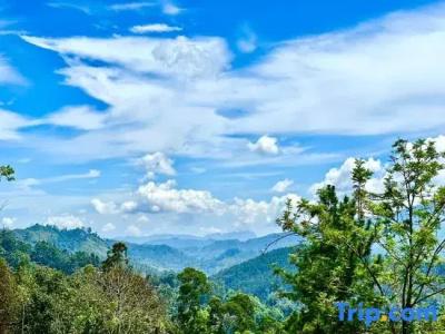 The Ella Nature Life Guest Inn - 66