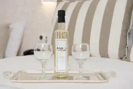 Ammos Beach Seaside Luxury Suites - 66
