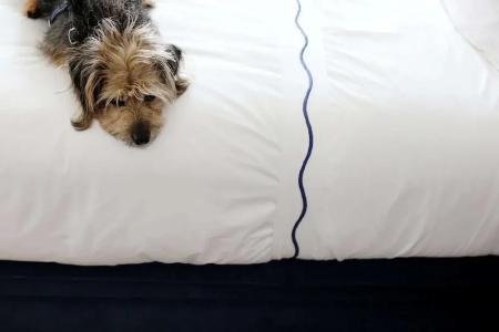 Maison de la Luz - 72