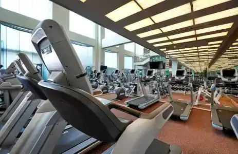 Hilton - 15