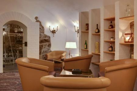 Steigenberger GrandBelvedere - 2