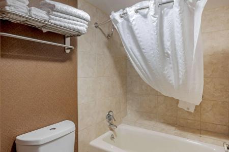 Best Western Inn of the Ozarks - 9