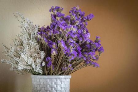 Agriturismo I Bonsi - 155