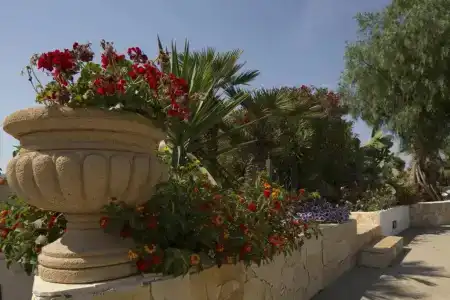 Villa Carlo Resort - 26