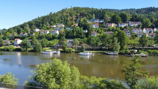 Neckarlux - 10