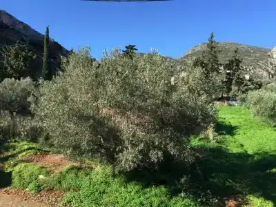 Monemvasia Green - 146