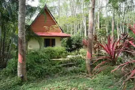 Manora Garden - 47