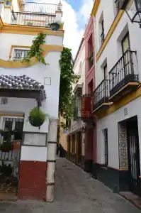 Doña Lina - 17