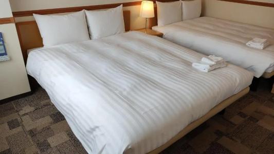 Toyoko Inn Kagoshima chuo eki Nishi guchi - 86
