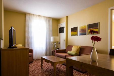 TownePlace Suites Tucson - 4