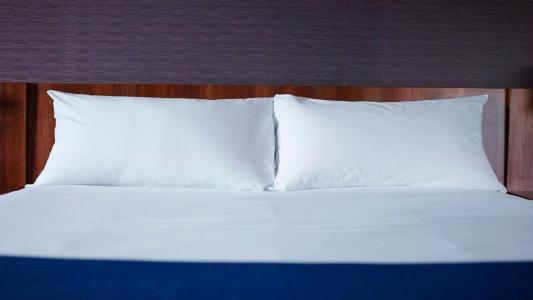 Holiday Inn Express Dijon, An Ihg - 80
