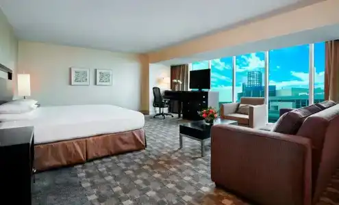 Hilton Anaheim - 99