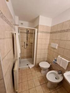 Rododendro - 71
