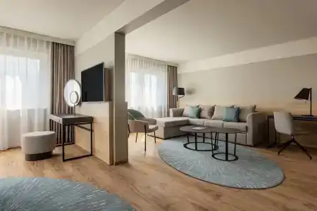 Swissotel Le Plaza Basel City - 115