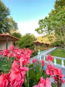 Likya Adrasan Otel - 31