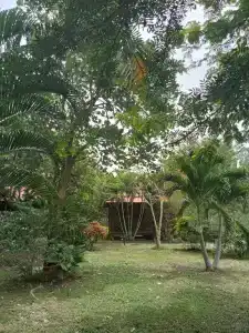 Ban Ban Bangalow - 11