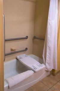 Holiday Inn Express & Suites West - 8