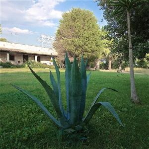 Masseria Le Pajare - 60