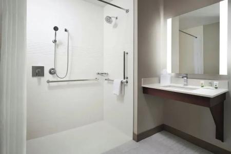 TownePlace Suites by Marriott New Orleans Downtown/Canal Street - 34