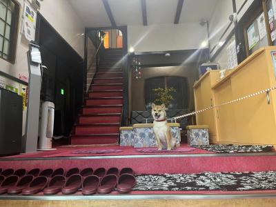 Oyo Yamamoto Ryokan Fukuoka Hakata - 22