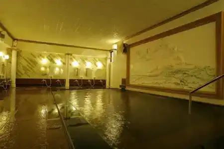 Ryokan Tatami - 16