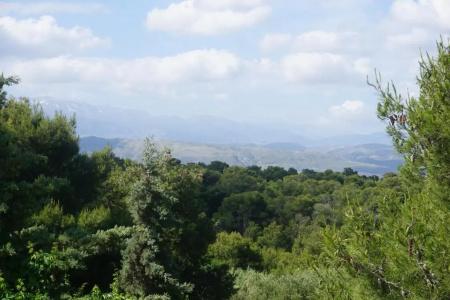 Monte Vardia - 25