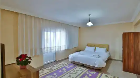 Afyon Dundar Thermal Villa - 3