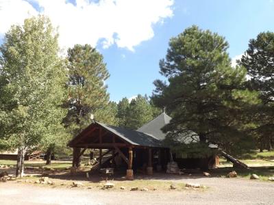 Arizona Mountain Inn & Cabins - 58