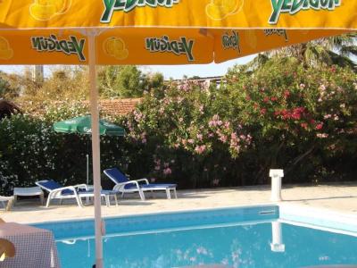 Paradise - 6