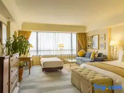 Park Tower, A Luxury Collection, Buenos Aires - 53