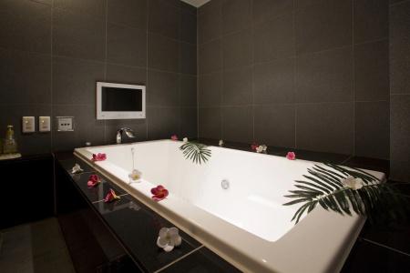 and Spa Lotus Modern (Adult Only) - 13