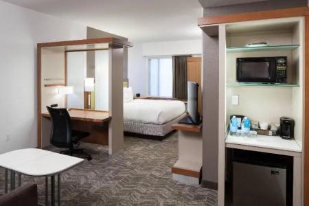 SpringHill Suites by Marriott Orlando at SeaWorld - 61