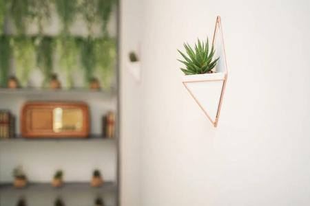 Rudiae Boutique - 21