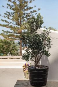 Rania Sea View - 38
