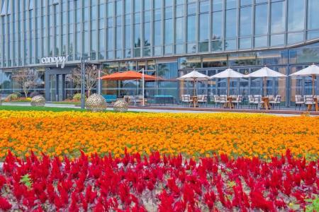 Canopy By Hilton Hangzhou Jinsha Lake - 82