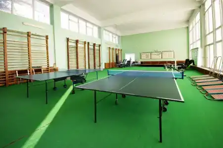 Родина - 15