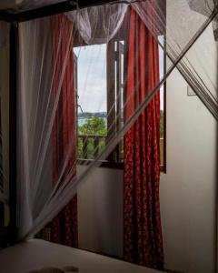 Harmony Beach Bungalows - 58