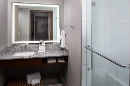 DoubleTree by Hilton - Mayo Clinic Area - 41