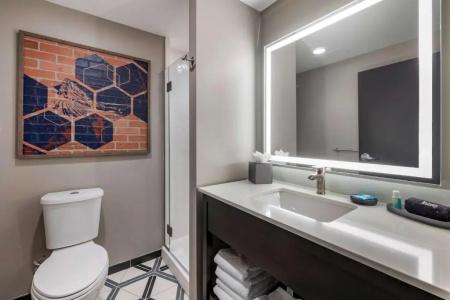 Vib Best Western Denver Rino - 43