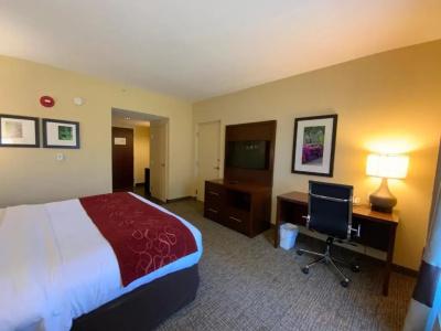Comfort Suites North - 48