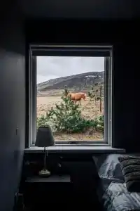 Golden Circle Luxury Cottages - 13